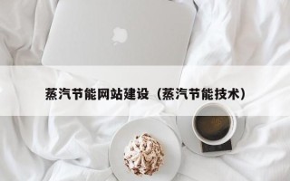 安阳蒸汽节能网站建设（蒸汽节能技术）